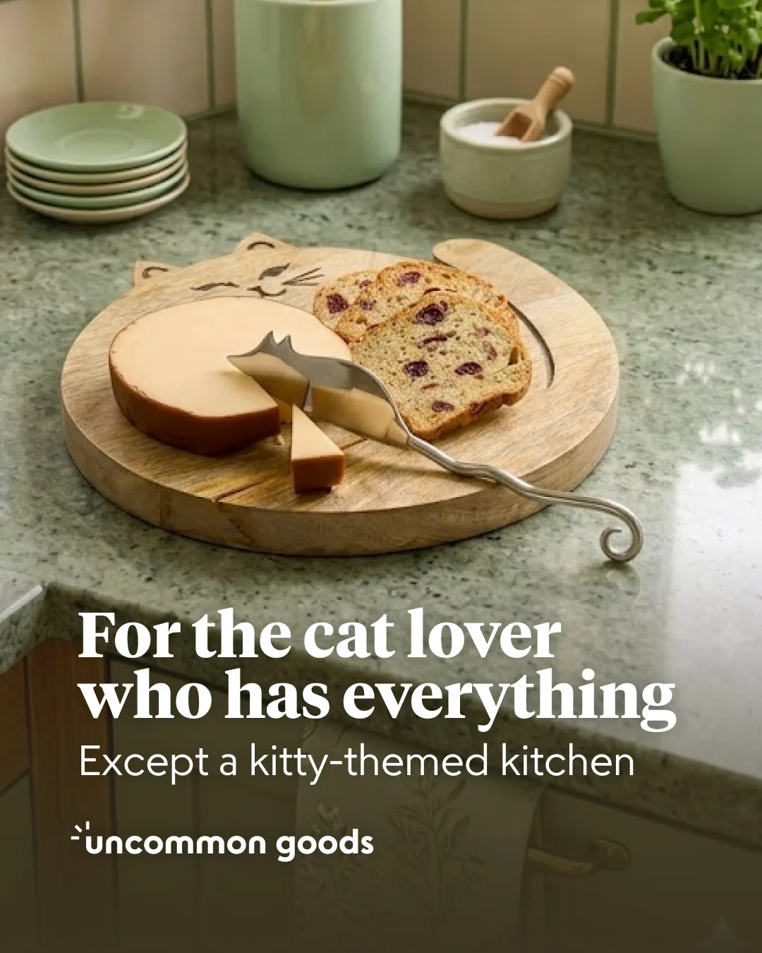 Direct-response static — cat-lover gift, headline swapped into the template